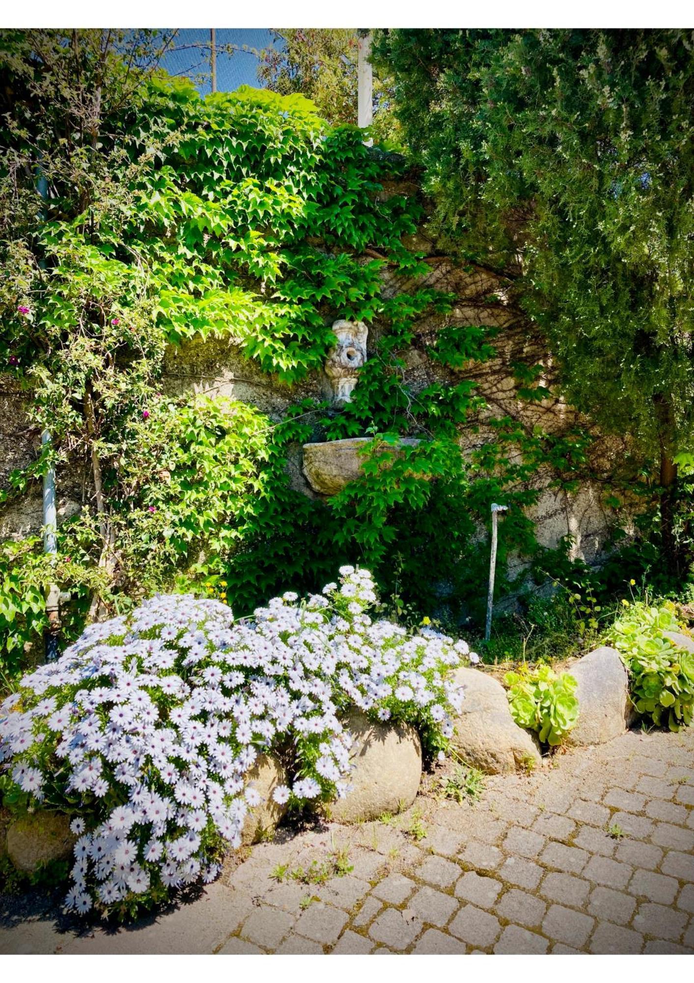 Villa Scilla E Cariddi Messine Extérieur photo