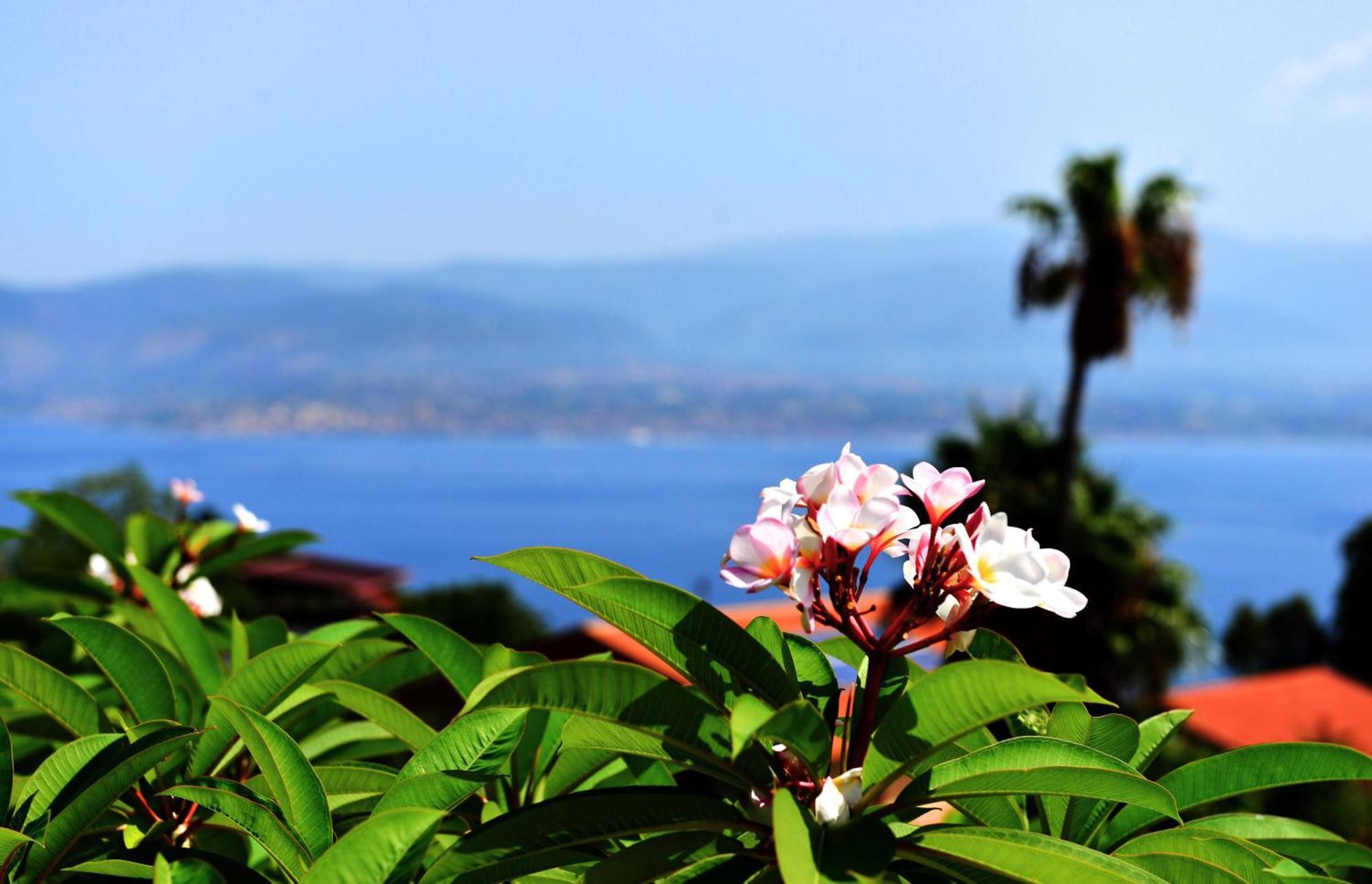 Villa Scilla E Cariddi Messine Extérieur photo