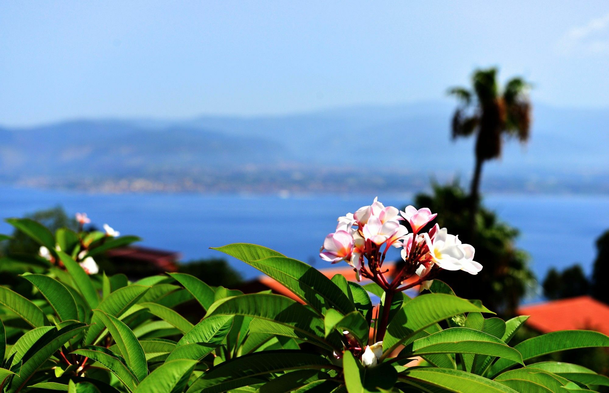 Villa Scilla E Cariddi Messine Extérieur photo